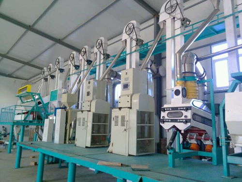 玉米深加工機械及谷物精選加工機械堵塞問題的解決方案