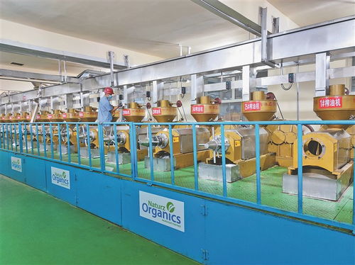 齊齊哈爾農產品加工優勢持續增強 谷物精選加工機械引領產業升級
