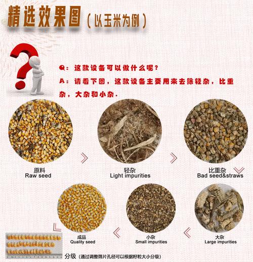 5xfz-20 復式精選機-沁彤進出口貿易